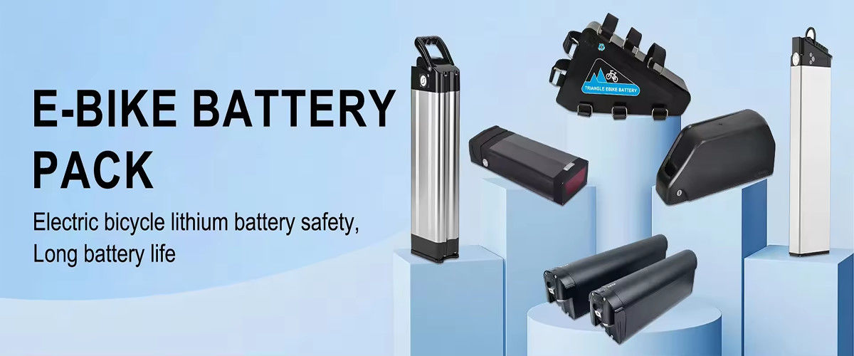 Hailong Ebike Battery