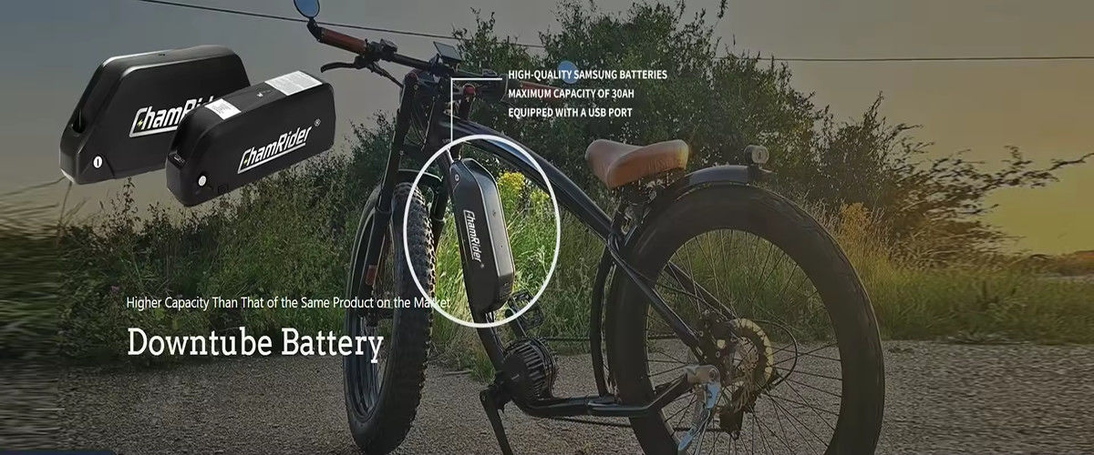Silverfish Ebike Battery