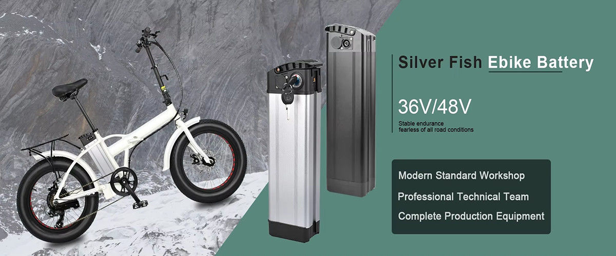 Electric Scooter Battery