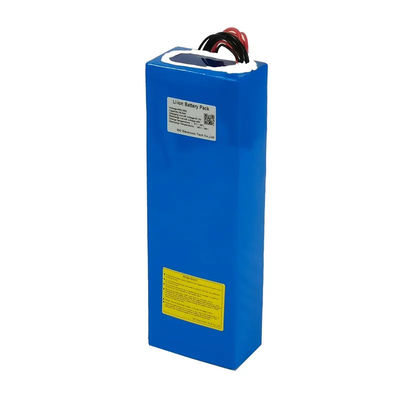 48V 20Ah Li Ion Scooter Battery 1000W Electric Vehicle Battery