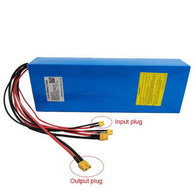 48V 20Ah Li Ion Scooter Battery 1000W Electric Vehicle Battery