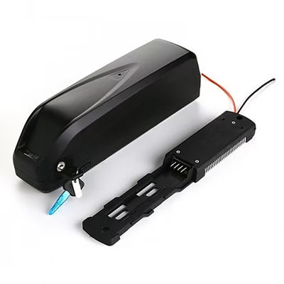Hailong High Power Lithium Ion Battery 48V 52V 20ah 30ah 1000W for Electric Bicycle