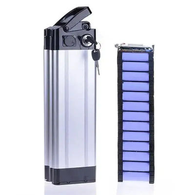Lithium Silverfish Electric Bike Battery 48v 20ah Rechargeable