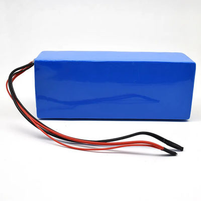 Custom Lithium Ion Battery Pack 24v 36v 48v 52v For Electric Bike