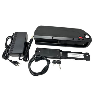 Hailong High Power Lithium Ion Battery 48V 52V 20ah 30ah 1000W for Electric Bicycle